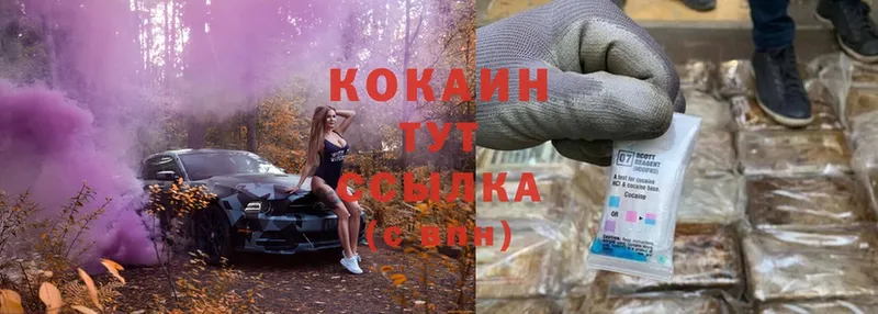 OMG как зайти  Игарка  Cocaine FishScale 